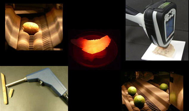 RAU homepage banner