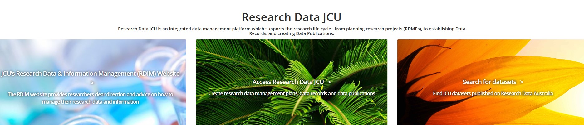 screenshot of tiles in Research Data JCU