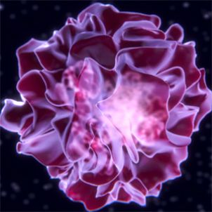 Photo of Dendritic Cell Immunomodulator Screening Assay