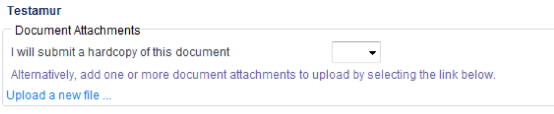 Screenshot showing what you will see if you want to select yes to submit a hardcopy of documentation.