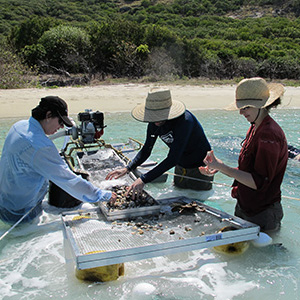 students in water. 