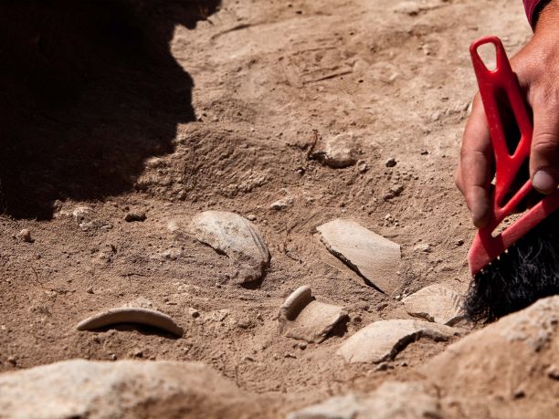 Archaeological dig site. 