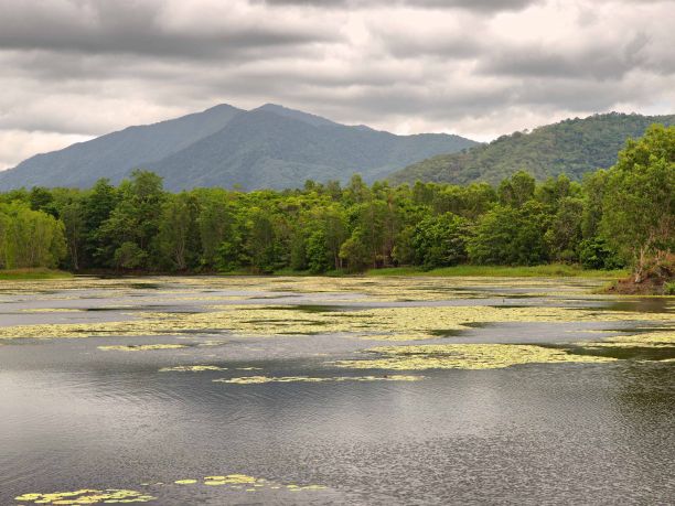 An image of a lake. 