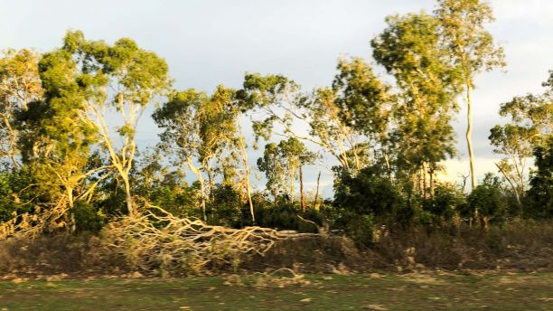 Cyclone damage