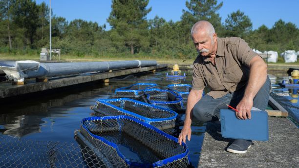 Man working in a fish farm