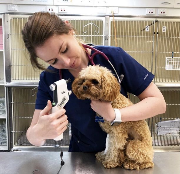 Brooke checking fluffy dog's ear