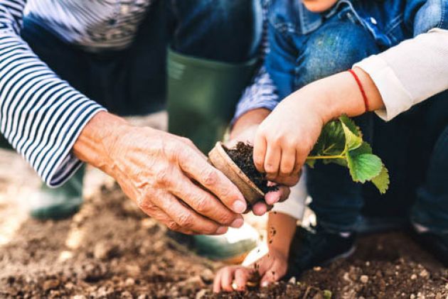 Two people gardening