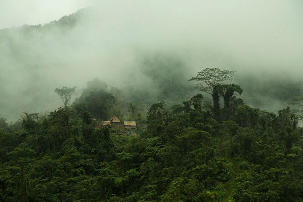 Malaita huts in Solomon Islands rainforest