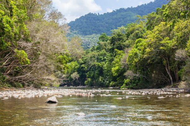 mulgrave river, Goldsborough Valley