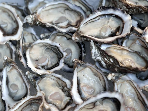 An image of oysters plated up. 