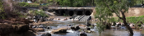 Solander Rd fish ladder