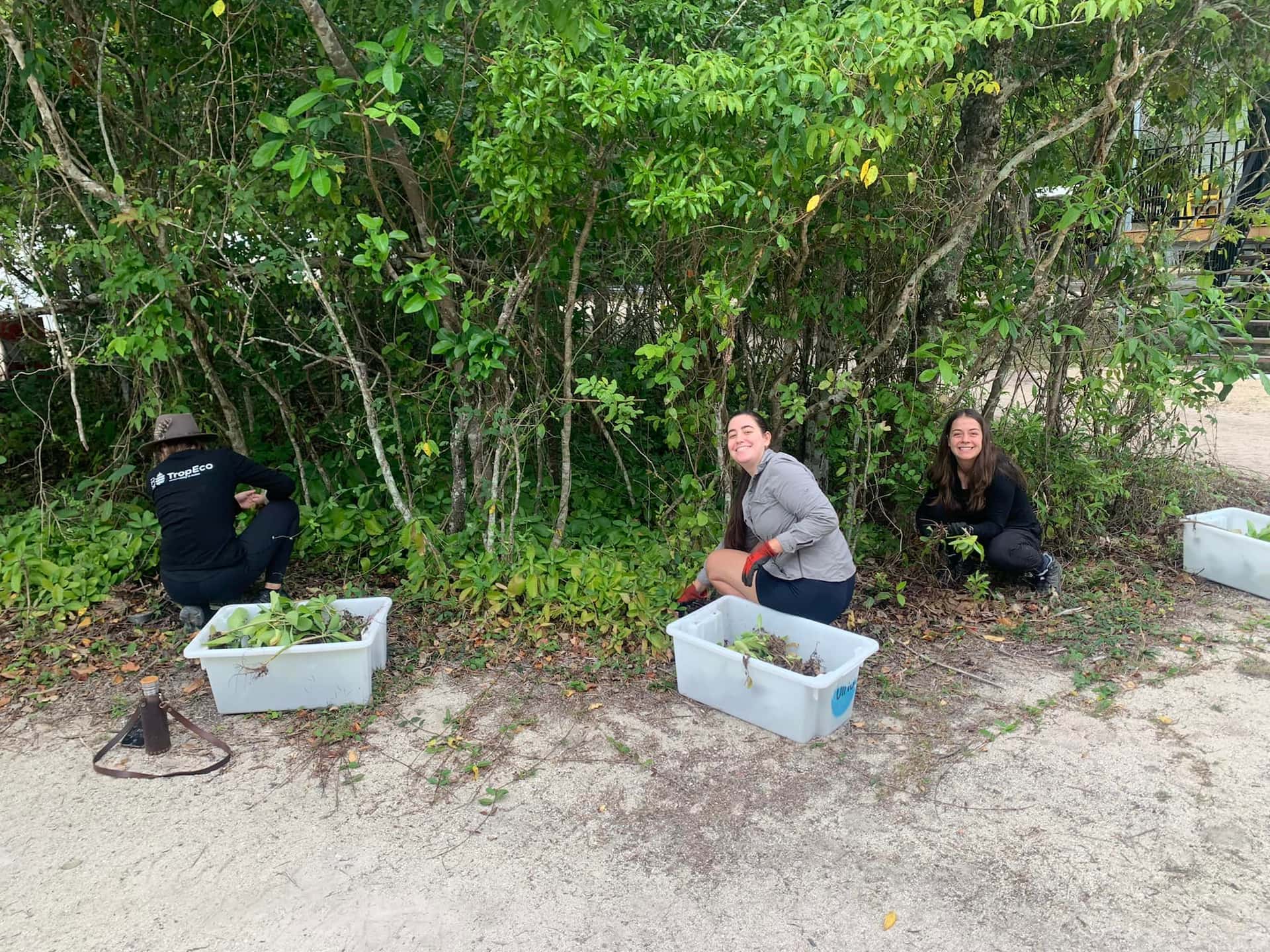 Volunteers planting trees. 