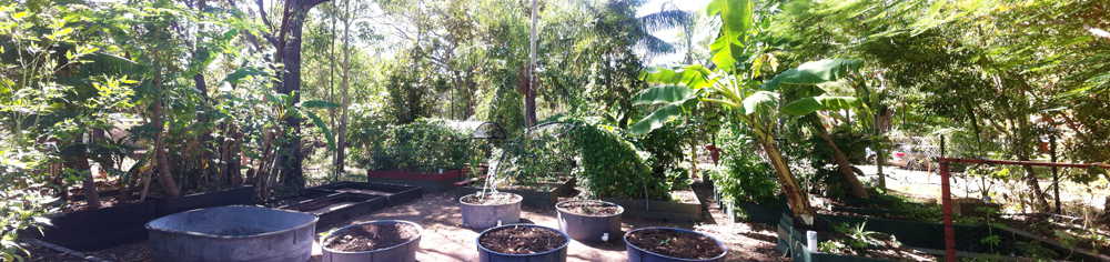 Rotary community garden. 