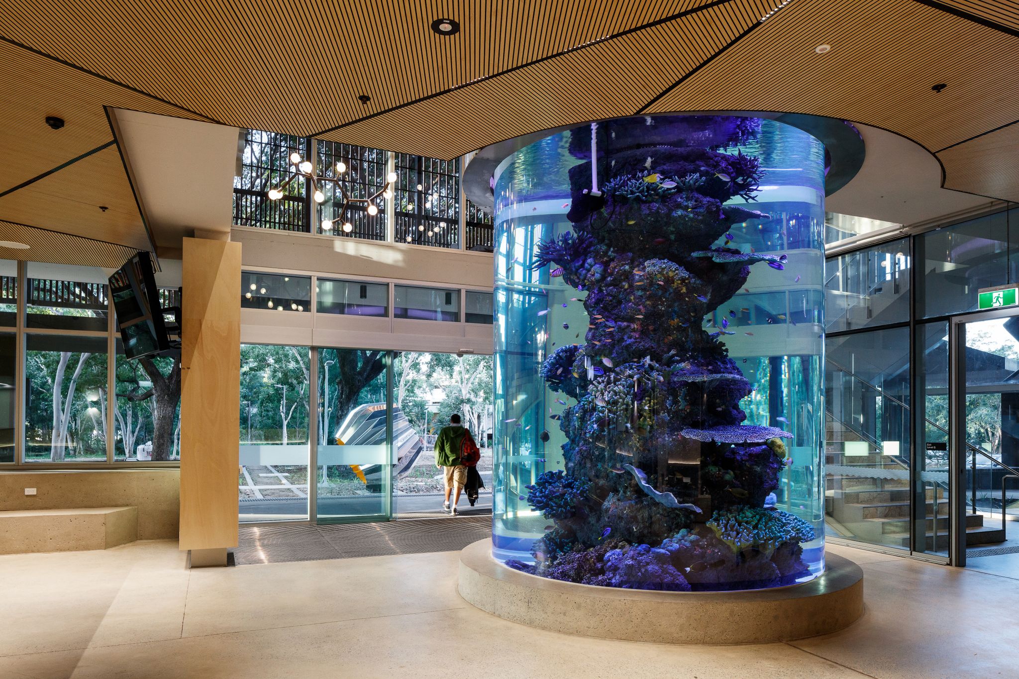 JCU Fishtank pole. 