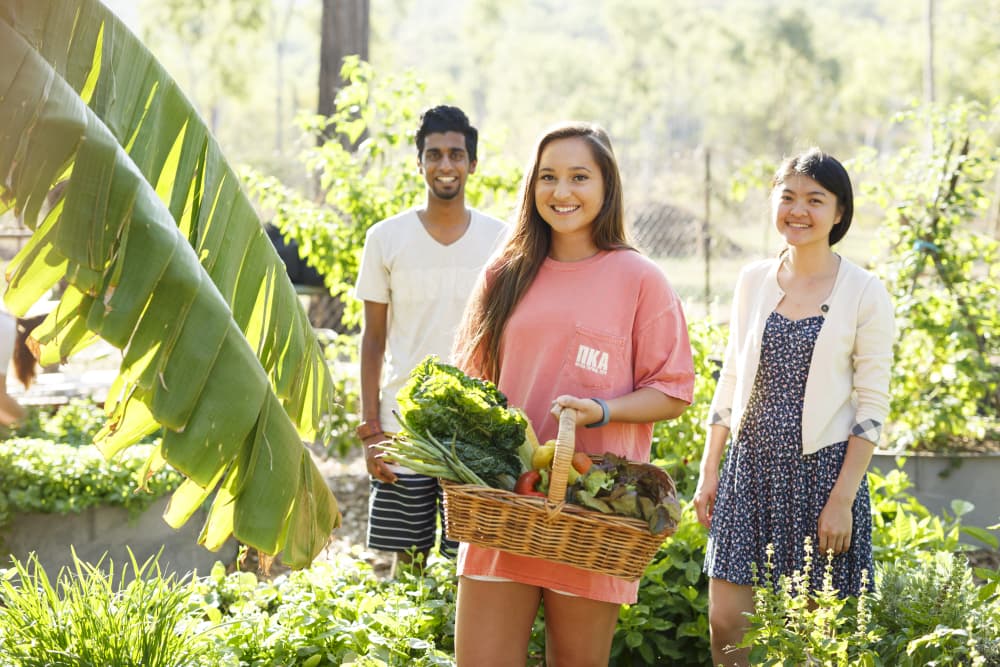 people in the edible garden. 