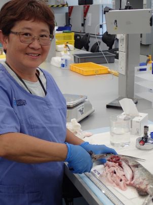 Photo of Associate Professor Susan Gibson-Kueh