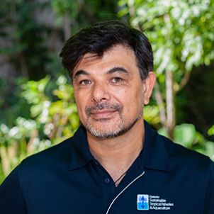 Photo of Dr Andrew Chin