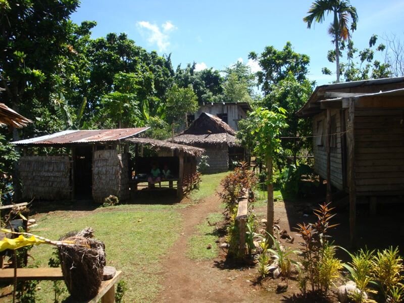 Tropical village