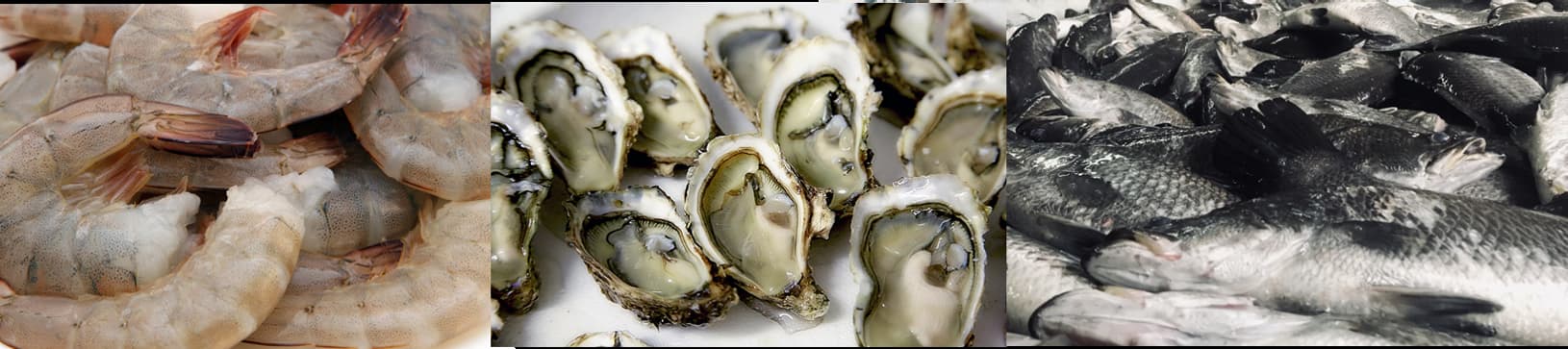 seafood banner