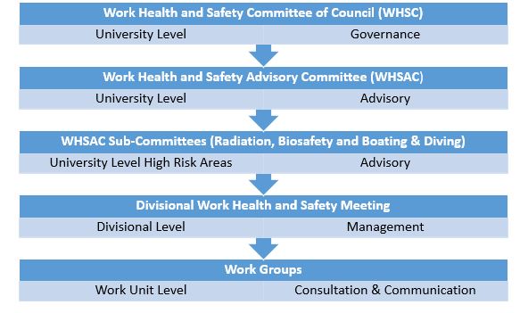 Structure of JCU Health, Safety and Environment committees and consultation Structure of JCU Health, Safety and Environment committees and consultation